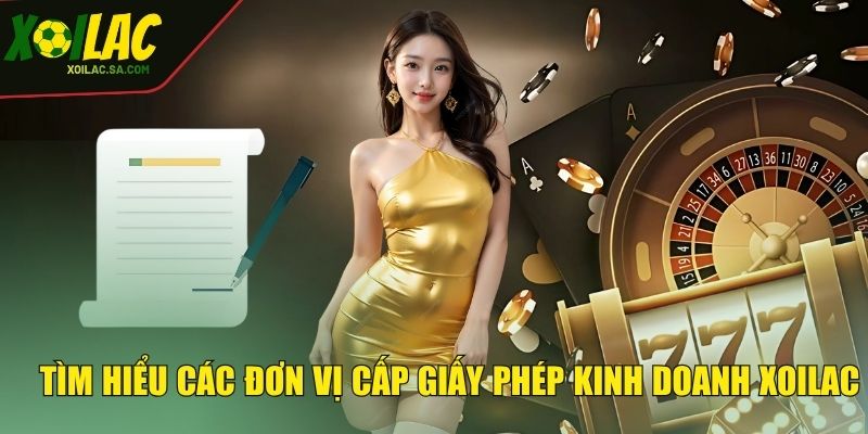 Giấy Phép Kinh Doanh - Minh Chứng Của Sự Uy Tín 2 Tìm hiểu các đơn vị cấp giấy phép kinh doanh XOILAC